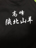 CHA OPAI秋冬拉鏈立領(lǐng)衛(wèi)衣定制員工服 文化衫印logo班服外套訂制 工作服印字刺繡 黑色 S 曬單實(shí)拍圖