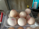 無(wú)抗鮮雞蛋 谷物喂養(yǎng)鮮雞蛋 單枚50g-60g 早餐食材 蛋香味十足 30枚裝 曬單實(shí)拍圖