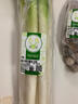 京鮮生大蔥 750g 簡(jiǎn)裝 新鮮蔬菜 曬單實(shí)拍圖