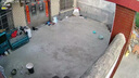 域云家用攝像頭手機(jī)遠(yuǎn)程監(jiān)控器360度無(wú)死角帶夜視全景語(yǔ)音自動(dòng)旋轉(zhuǎn)可對(duì)話室內(nèi)外看老人小孩寵物監(jiān)控 室外防雨4G【0充值0費(fèi)用】無(wú)需裝寬帶+全功能 WIFI標(biāo)準(zhǔn)版+送云存儲(chǔ)3天【自購(gòu)內(nèi)存卡方可本地】 曬單實(shí)拍圖