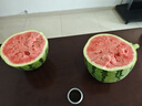 正宗寧夏中衛(wèi)硒砂瓜富硒西瓜當季新鮮水果沙地石縫壓砂瓜沙瓤西瓜 【官方旗艦店】【越大越沙甜】 28斤 （28斤-30斤）隨機發(fā) 曬單實拍圖