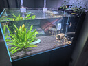 黑豆殼 魚缸換水神器 換水管電動抽水吸便器吸糞洗沙清潔清理工具 36w高配版+10米水管+水龍頭轉(zhuǎn)接頭 曬單實拍圖