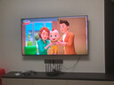 東芝小芝士Z600NF PRO 音畫(huà)雙芯Mini LED 火箭炮音響 144Hz 4K超清 智能電視機 以舊換新 家電國家補貼 65英寸 65Z600NF PRO 曬單實(shí)拍圖