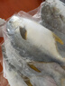 翔泰 海南金鯧魚凈重900g 2條裝  魚類生鮮 燒烤 火鍋食材 海鮮水產(chǎn) 曬單實(shí)拍圖