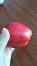 品贊 新西蘭紅玫瑰蘋(píng)果新鮮進(jìn)口水果蘋(píng)果 紅玫瑰蘋(píng)果6個(gè)凈重單果130g+ 曬單實(shí)拍圖