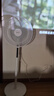 格力（GREE）【花精靈風扇】直流變頻電風扇落地扇家用風隨溫變臺地兩用一級能效遙控電扇低噪 FDZ-35X69Bg5 曬單實拍圖