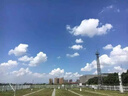 朗威比目魚肌拉伸器踩踏板跟腱腳踏放松鍛煉小腿部拉伸訓(xùn)練健身器材 曬單實(shí)拍圖