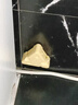 拜滅士德國拜耳進(jìn)口蟑螂藥殺蟲劑除蟑螂屋內(nèi)廚房殺蟑膠餌一窩室內(nèi)端 【奶酪殺蟑】殺蟑餌盒6枚 曬單實拍圖