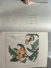 植物先生：二十四節(jié)氣植物研學(xué)課 袁明華 著 植物先生系列（2冊(cè)） 曬單實(shí)拍圖