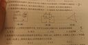 【全新視頻版 現(xiàn)貨速發(fā)】正版2026新版走進重高七八九年級下冊上冊培優(yōu)講義培優(yōu)測試語文數(shù)學科學英語人教版浙教版外研版尖子生培優(yōu)教材初中一二三年級 【培優(yōu)測試】科學（浙教版ZJ） 八年級上冊 曬單實拍圖