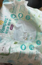 幫寶適（Pampers）清新幫拉拉褲加大碼XL34片超薄干爽透氣男女寶寶通用 曬單實拍圖