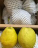 京鮮生 新疆庫(kù)爾勒香梨 凈重5斤 單果100g-120g 新鮮水果 源頭直發(fā) 曬單實(shí)拍圖