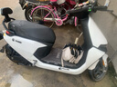 九號(hào)（Ninebot）遠(yuǎn)航家M95C電動(dòng)摩托車超長(zhǎng)續(xù)航智能兩輪摩托車【門店自提】 到門店選顏色 曬單實(shí)拍圖