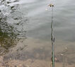 禧瑪諾（SHIMANO）進(jìn)口臺(tái)釣竿碳釬維超輕硬野釣休閑黑坑手竿大物竿綜合竿十大品牌 6.3m GLR輕量款-160克 曬單實(shí)拍圖