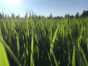 準航DSJ-C8執(zhí)法記錄儀胸前隨身型攝像頭高清便攜式隱藏小微錄視頻音像 曬單實拍圖