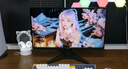 微星（MSI）24.5英寸 300Hz電腦游戲顯示屏 0.5ms 支持HDR 快速液晶IPS 窄邊框電競筆記本外接顯示器MAG 255XF 電競小金剛 曬單實(shí)拍圖
