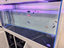 江彩缸內(nèi)無管件卓底濾魚缸客廳2025新款寧無管道靜音魚缸大中型定制 長150x寬60x缸75x柜80x總高161cm 曬單實拍圖