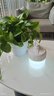  漢懿威照明 Led充電應急燈HYW-PY-P024 115mm大口徑商業(yè)停電應急移動照明球泡燈節(jié)能燈露營燈 曬單實拍圖