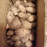 京營粉糯香廣西荔浦紅芽芋新鮮小香芋艿毛芋子農(nóng)家牛奶油小芋頭仔 5斤 小果特惠促銷 曬單實拍圖