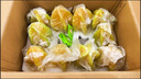 果點(diǎn)旺福建漳州楊桃新鮮水果應季甜楊桃現摘2斤裝單果150g起 凈重2斤裝送酸梅粉單果150g起 曬單實(shí)拍圖