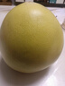 廣果梅州金柚沙田柚紅心蜜柚白心廣東特產(chǎn)柚子女士孕婦水果包郵 沙田柚1個(gè)裝【凈重2.5-3斤 】 精品柚子 曬單實(shí)拍圖