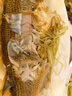 美的（Midea）蒸魔方多功能家用電蒸鍋 燉蒸涮煮一體3層 大容量 不銹鋼可拆洗 自動(dòng)斷電2025新品 ZGS352302 曬單實(shí)拍圖