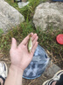 熊火戰(zhàn)鲌懸浮懸停米諾遠(yuǎn)投死飛一抽路亞假餌淡水海釣翹嘴鱸魚鱖魚通殺 懸浮款死飛帶噪音6.5克三只混裝 曬單實(shí)拍圖
