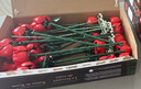 樂高（LEGO）10328 玫瑰花束 百變高手創(chuàng)意成人粉絲收藏款積木玩具 曬單實(shí)拍圖