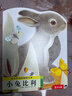 亮麗精美觸摸書-小兔比利（中英雙語）低幼認知繪本 幼兒啟蒙仿真觸感觸摸書 【0-2歲】 寶寶繪本省錢卡 曬單實拍圖