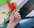 中國黃金穗穗平安銀手鏈女玉髓手串時尚首飾教師節(jié)禮物送老師生日送女友 麥穗平安扣手鏈【玫瑰花盒】 曬單實拍圖