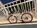喜德盛公路自行車(chē)2025款AD300油碟UCI車(chē)架2x10速中空一體牙盤(pán)桶軸破風(fēng)車(chē) 白蛇 450mm 曬單實(shí)拍圖