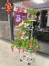 蝸家花架客廳落地式陽(yáng)臺置物架戶(hù)外庭院多肉花盆架層架擴展架可移動(dòng) 曬單實(shí)拍圖