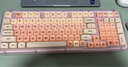 羅技（Logitech）ALTO KEYS K98M/K98S客制化機械鍵盤(pán) 無(wú)線(xiàn)藍牙鍵盤(pán)雙模mac ipad鍵盤(pán)98鍵游戲辦公家用鍵盤(pán)AI熱插拔 K98S玫瑰粉+粉底液鍵帽 曬單實(shí)拍圖