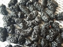 新疆新貨桑葚干特級大果黑桑椹500g免洗即食干果泡水泡茶大顆粒 1小罐嘗鮮裝125g【貴在運費/建議拍多罐】 胖東來商城 京Ii東自官方營店旗 曬單實拍圖