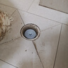 OQD德國(guó)高端下水管道封圈廚房洗衣機(jī)硅膠塞5075排水管堵口器防返臭神 灰色適用50管磁吸密封+防臭塞 曬單實(shí)拍圖