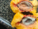 山姆伯伯山東蒙陰黃油桃子【JD閃送】黃金蜜毛桃新鮮水果脆甜桃子 A+級甄選果丨黃金產(chǎn)區(qū)【爆甜】 凈重9斤【蕞劃算-全網(wǎng)比質(zhì)比價(jià)】 曬單實(shí)拍圖