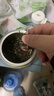 一杯香茶葉茉莉花茶橫縣特級500g2025新茶禮盒裝送禮茉莉綠茶自己喝散裝 曬單實(shí)拍圖