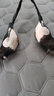 綺花2只仿真喜鵲 假鳥(niǎo)仿真羽毛小鳥(niǎo)擺件模型花園擺件陽(yáng)臺(tái)小院菜園裝飾 仿真喜鵲夾子款2只裝 曬單實(shí)拍圖