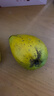 【現摘順豐】新鮮雞蛋果 云南/海南蛋黃果 獅頭果熱帶水果香甜 單果150-250g 1000g 曬單實(shí)拍圖