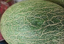 黃六爺正宗哈密瓜9斤新鮮水果網(wǎng)紋玲瓏蜜靜岡冰淇淋西州蜜甜瓜整箱包郵 9-10斤【3-5個(gè)果】壞果包賠 曬單實(shí)拍圖