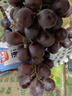 【農(nóng)戶直通車】正宗天津茶淀玫瑰香葡萄750g 曬單實拍圖