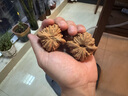 山中玉核桃文玩特大文玩核桃精品四座樓獅子頭把玩手把件精品七夕禮物 四座樓45mm左右 曬單實(shí)拍圖