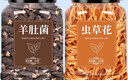 羊肚菌干貨蟲草花湯包禮盒新鮮牛肚茵野生的功效與作用兒童 【大罐】【2罐】羊肚菌+蟲草花 曬單實拍圖