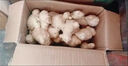 【產(chǎn)地直發(fā)】山東大姜生姜干姜老姜農(nóng)家自種 新鮮蔬菜 精選大姜 3斤 曬單實(shí)拍圖