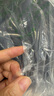新秀麗（Samsonite）書包初高中生男女孩雙肩包抗菌減負大學生背包高顏值大容量NW4 曬單實拍圖
