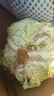 包菜新鮮卷心菜大頭菜農戶(hù)自種當季綠葉蔬菜綠甘藍 綠甘藍 5斤 曬單實(shí)拍圖