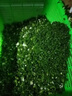 方の廚切菜機商用切蔥花神器小型電動(dòng)蔬菜多功能切段蔥花機香菜韭菜辣椒圈酸菜絲豆角段 不銹鋼基礎款 可連續工作2小時(shí) 曬單實(shí)拍圖