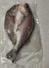 仙泉湖三去白蕉海鱸魚1斤/條凈膛冷凍刺少肉厚珠海特產(chǎn)500g生鮮食材 曬單實(shí)拍圖