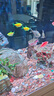 森悠（SARYOR）魚缸懶人沉木水榕造景裝飾活體植物水族箱真水草套餐淡水增氧水草 鳳尾莫斯沉木 曬單實(shí)拍圖