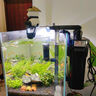AMTRA TECHNIK德國安彩壁掛過濾器ex450魚缸過濾器龜缸低水位 EX450 標(biāo)準(zhǔn)款【內(nèi)含濾材】 曬單實拍圖